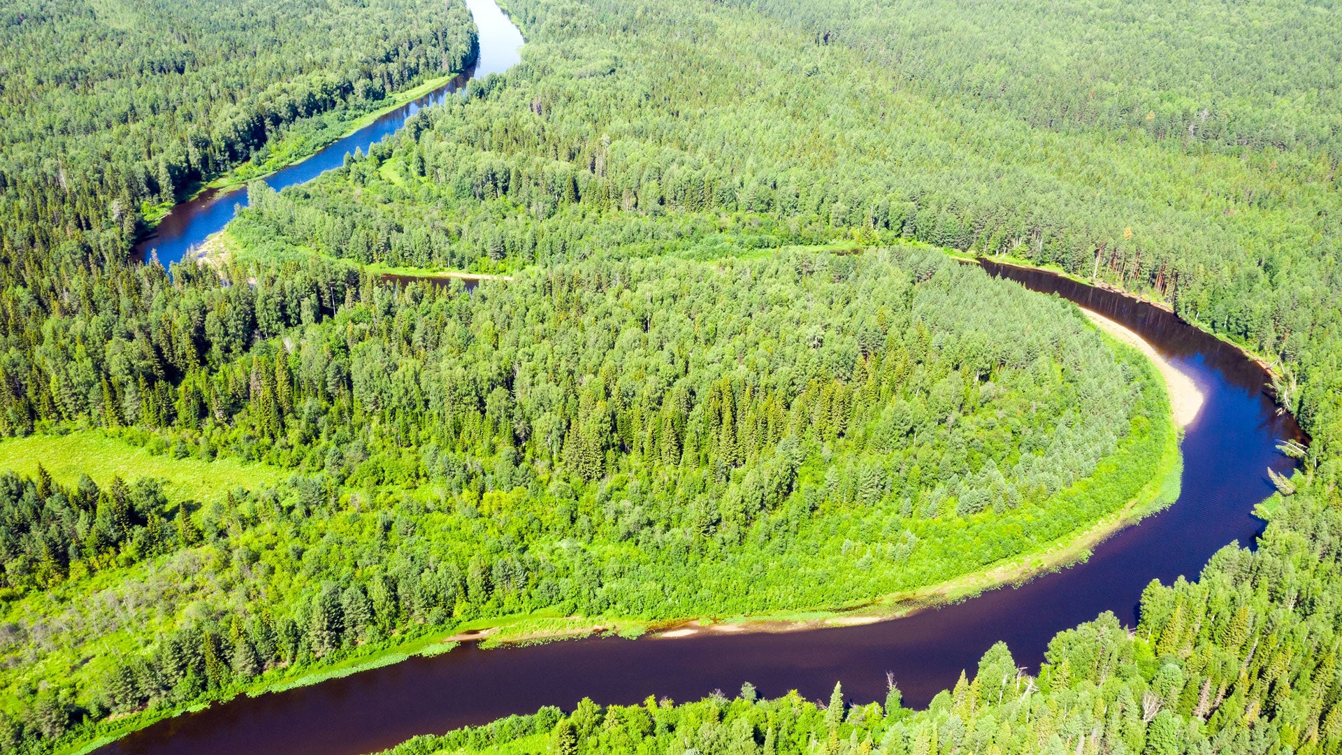 winding river in forest - Q3 Equity Update: A Show of Resilience