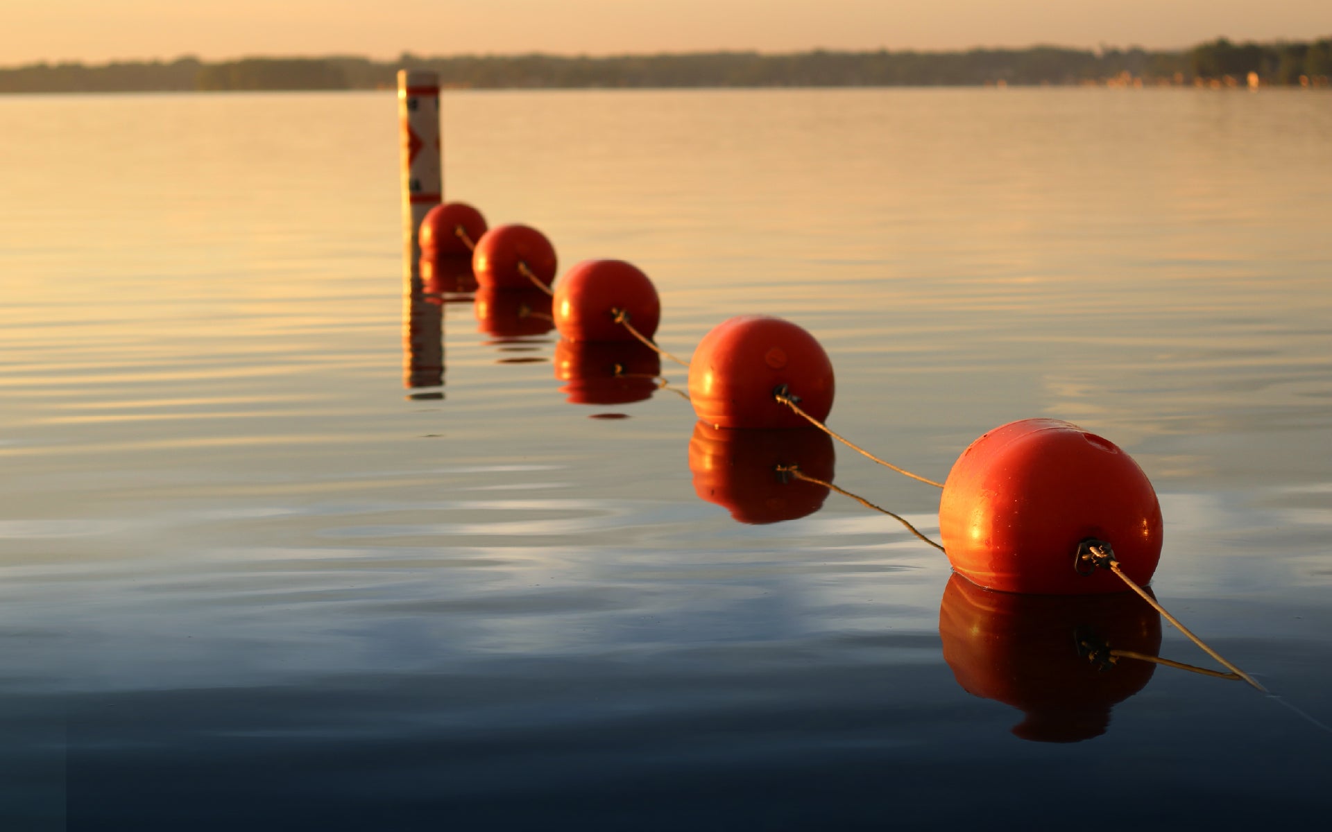 floating devices in water+Why Investment Grade Floating Rate Makes Sense in Today’s Market
